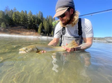 Potential Fishing Regulation changes on the Flathead River system for