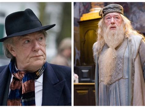 Albus Dumbledore Michael Gambon