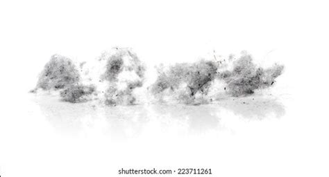 Dust Bunny Royalty Free Images Stock Photos And Pictures Shutterstock