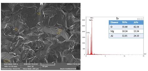 Sem Image Of The Fracture Surface A B Eds Spectra Of The Spinel