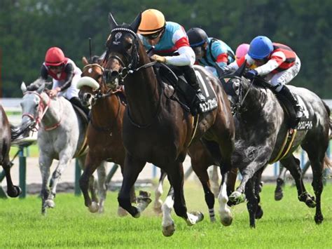 【関屋記念出走馬・騎手確定】ジュンブロッサム＆戸崎圭太騎手、プレサージュリフト＆cルメール騎手など18頭 ライブドアニュース