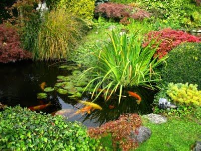 Home Garden: Garden Water Features - Discover How to Choose an Ideal ...