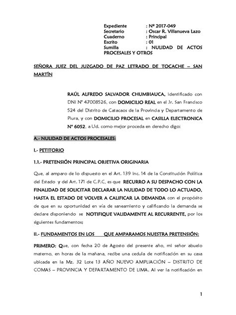 Nulidad De Acto Procesal Y Contestación De Demanda Pdf Ley Procesal Debido Al Proceso