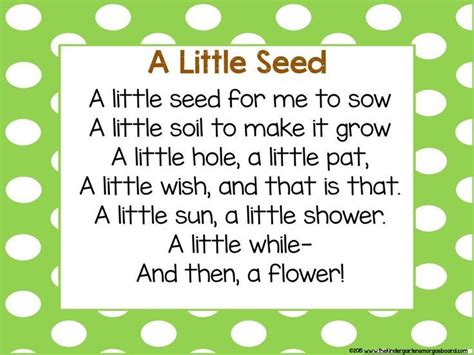 8 Best Seed Poem Images On Pinterest Plants Preschool Garden And