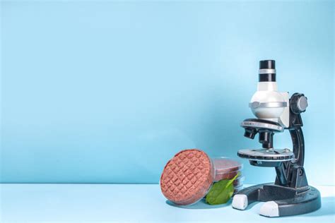Du Nouveau Pour La Viande Cellulaire Culture Nutrition