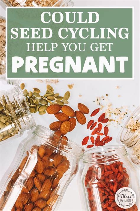 Seed Cycling For Fertility How This Can Help Balance Your Hormones