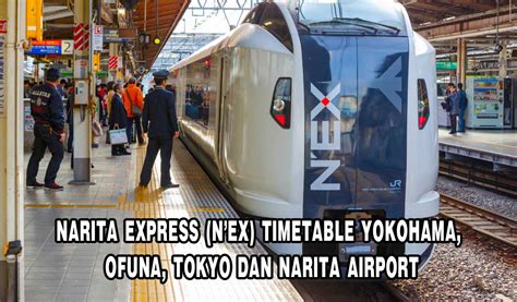 Narita Express Timetable 2024 - Lanny Melinde