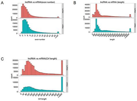 Genomic Features Of Predicted Lncrnas And Mrnas A Exon Number