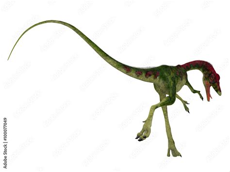 Compsognathus Dinosaur Tail Compsognathus Was A Small Carnivorous