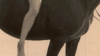 Retro Pussy And Pooch XNXX