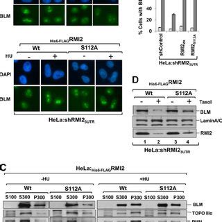 Redistribution Of Btr Complex Members Within Various Nuclear