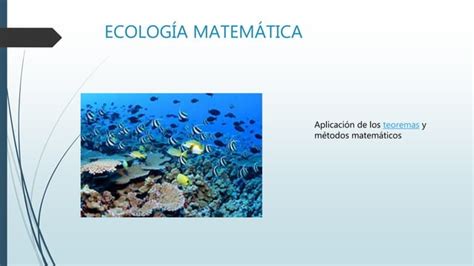 Tipos De Ecologia Y Su Importancia Ppt