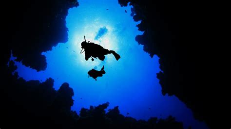 Explore The Blue Holes Of Andros In The Bahamas Travel And