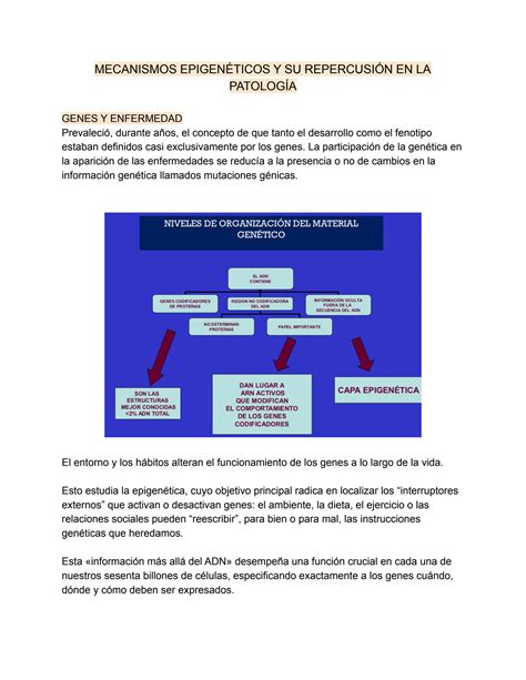 SOLUTION Mecanismos Epigen Ticos Y Su Repercusi N En La Patolog A