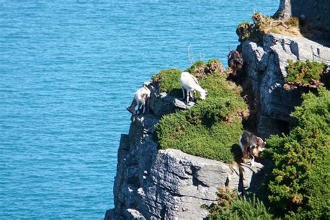 Valley Of The Rocks Exmoor A Stunning Place To Visit