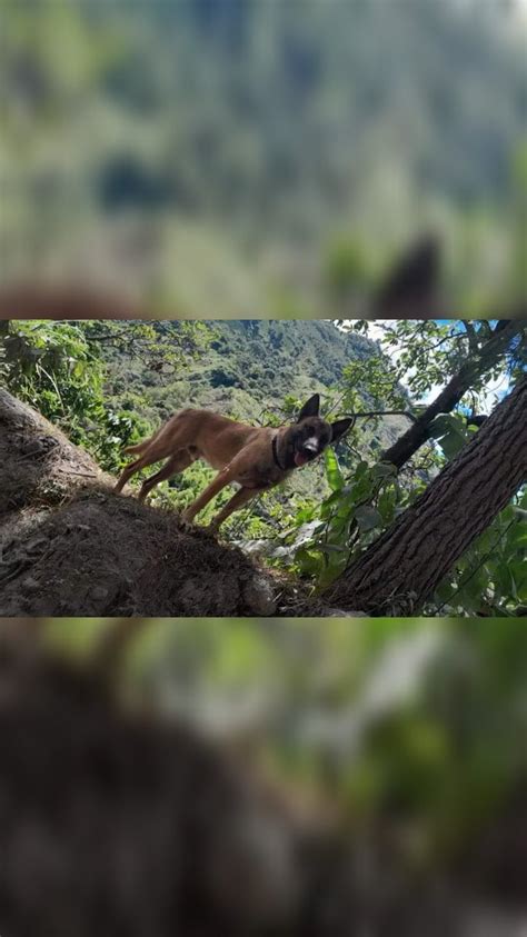 Colombia Oscura On Twitter ATENTOS En La Tarde De Hoy 27 Jun Se