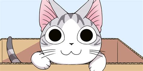 "Süße Katze Chi" erscheint bei Carlsen Manga | Anime2You