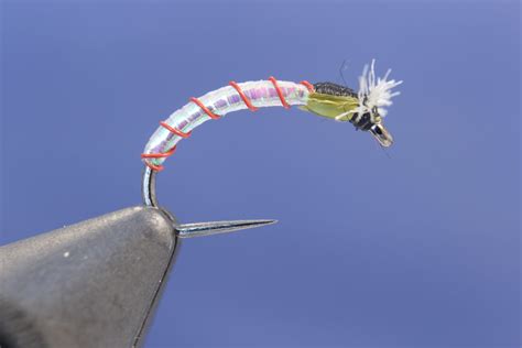 Tying A Pearl Chironomid Just Gone Fishing