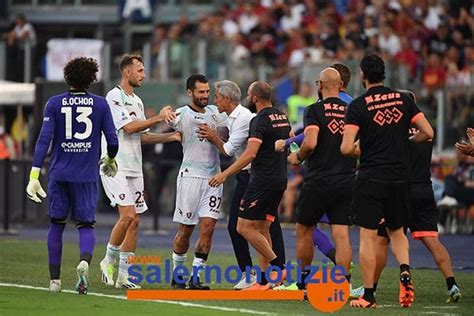 Arbitro Di Bologna Salernitana Designato Feliciani Di Teramo I Precedenti