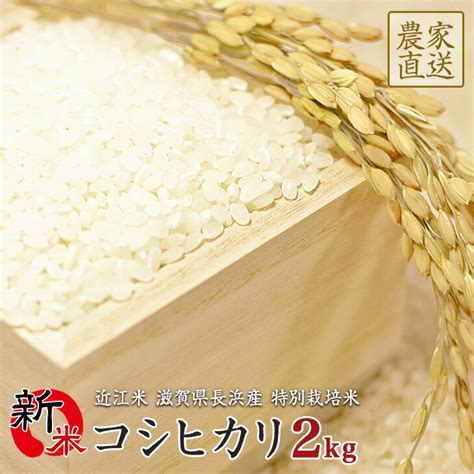 【楽天市場】コシヒカリ 2kg 送料無料 お米 令和元年産新米 滋賀県産 近江米 （北海道・沖縄・一部離島は別途送料）：ファーム・茂森