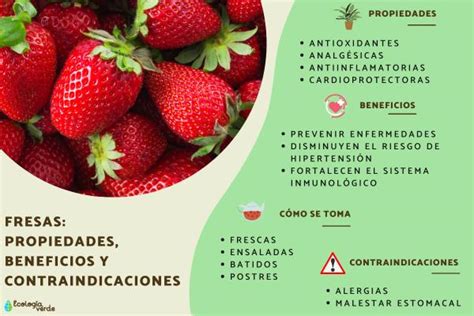 Fresas Propiedades Beneficios Y Contraindicaciones Guía Completa