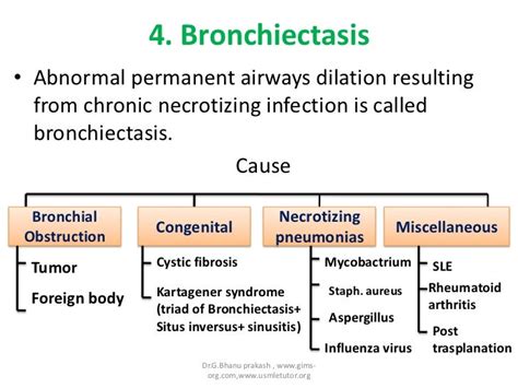 Lung pathology 2