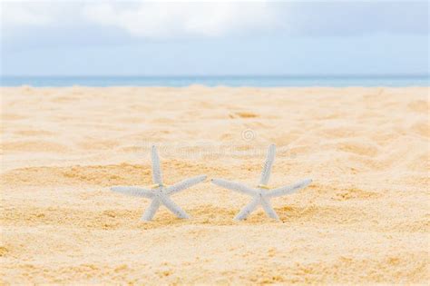 Two Wedding Rings With Two Starfish On A Sandy Tropical Beach Wedding