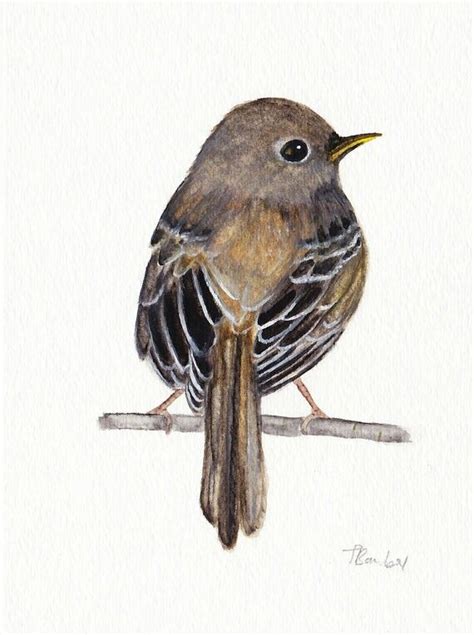 Pin by Christine Gibbs on Drawing | Watercolor bird, Birds painting ...