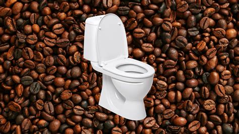 Why Does Coffee Make You Poop Mental Floss