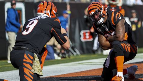 Panthers Vs Bengals Revisiting Our Bold Predictions For Week