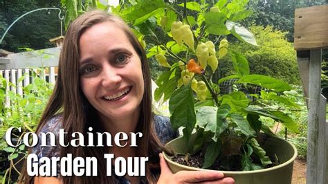 Container Garden Tour August September 2023 Youtube