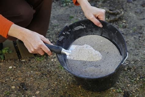 Comment Bien Utiliser La Cendre Au Jardin