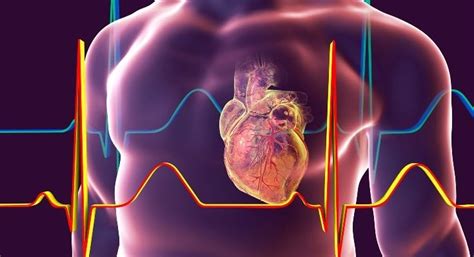 Kalp Damar Cerrahisinde Aort Yetersizliği Nedir Pax Clinic