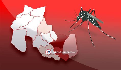 El Mapa Del Dengue En Jujuy Ledesma Y San Pedro En Rojo