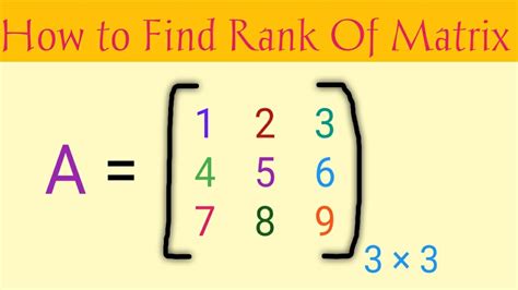 How To Find The Rank Of A Matrix Method To Find Rank Of A Matrix By Echelon Form Youtube