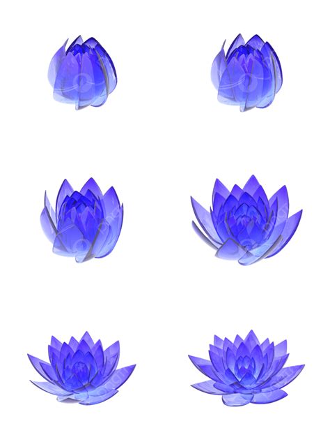 Lotus De Vidro Roxo Azul Png Gradiente Textura Vidrada Flor De Lotus Imagem Png E Psd Para