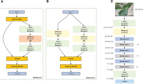 Frontiers Classification And Localization Of Maize Leaf Spot Disease