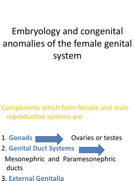 Congenital Anomalies Pdf Sex Organ Uterus