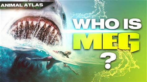 The Megalodon Ocean S Ultimate Predator YouTube