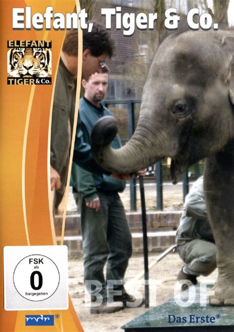 Elefant Tiger And Co Teil 5 Dvd Jpc