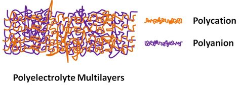 10 Stylized illustration of polyelectrolyte multilayers. | Download ...