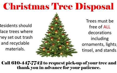 When Can I Put My Christmas Tree For Disposal In Annie Nicolina