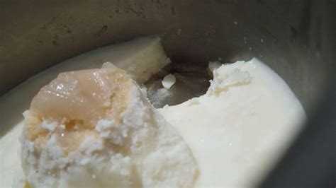 It is shocking how much fat is in bones. This is chilled bone broth