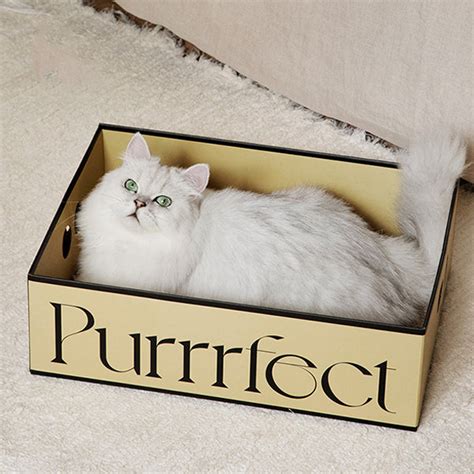 Corrugated Cardboard Cat Bed 4 Patterns Apollobox