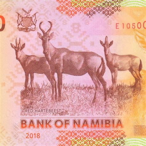 Namibia 20 Dollars 2018 Unc Currency Note KB Coins Currencies