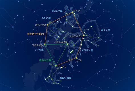 冬の大三角と冬のダイヤモンド｜88星座図鑑【2022】 オリオン座 ベテルギウス 冬