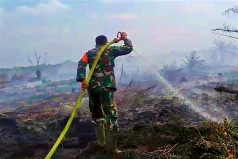 Kebakaran Hutan Di Rokan Hulu Riau Tak Kunjung Padam Digempur Dari