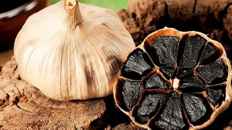 toi den la gi tac dung cua toi den dung toi den nhu  nao cho dung cach