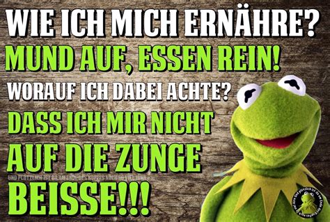 Kermit Der Frosch Sprüche DE Sprueche