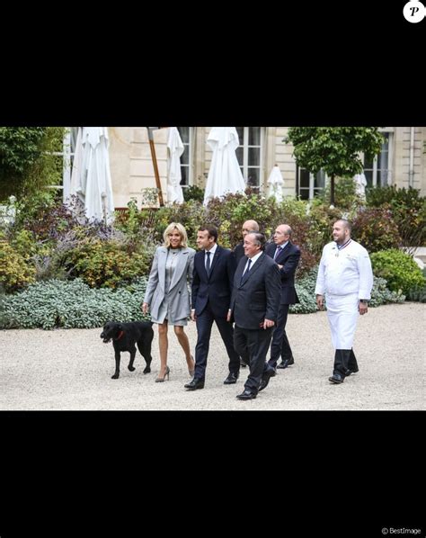 Emmanuel Et Brigitte Macron Leur Chien Nemo Star D Une Nouvelle